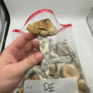 Buy Magic Mushrooms Online New York, where to buy psilocybin mushrooms online in New York, how to find psilocybin shrooms online in New York, Buy Mushrooms
