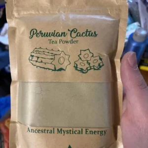 Buy Peruvian Torch Cactus, how can i get a Peruvian Torch cactus shipped, where to find Peruvian Torch cactus cuttings, Peruvian Torch cactus near me