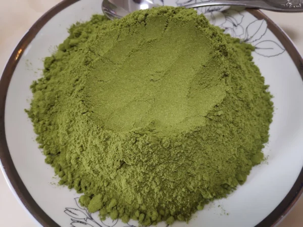 Buy Mescaline Online, is it safe to buy mescaline online,where to buy San Pedro cactus legally, find San Pedro cactus for sale, buy San Pedro cactus