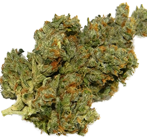 Sour Diesel Strain