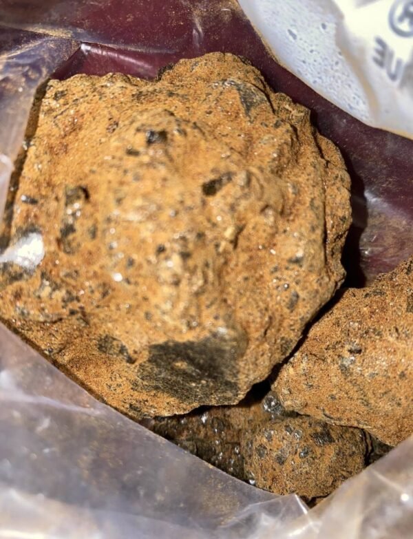GUN POWDER HEROIN